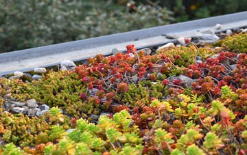 the cost of Ewood Bridge green roof installation