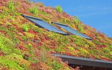 Ewood Bridge living roof systems